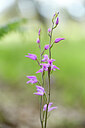 BUITEN BEELD Foto: 441567