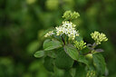 BUITEN BEELD Foto: 441568