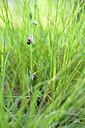 BUITEN BEELD Foto: 441571