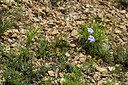 BUITEN BEELD Foto: 441574
