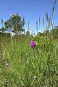 BUITEN BEELD Foto: 441579