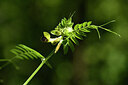 BUITEN BEELD Foto: 441581