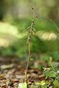 BUITEN BEELD Foto: 441587
