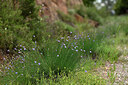 BUITEN BEELD Foto: 441589