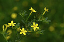 BUITEN BEELD Foto: 441593