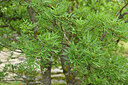 BUITEN BEELD Foto: 441595