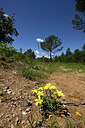 BUITEN BEELD Foto: 441596