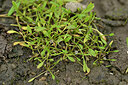 BUITEN BEELD Foto: 441599