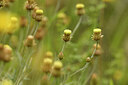 BUITEN BEELD Foto: 441601