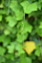BUITEN BEELD Foto: 441602