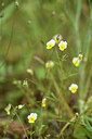 BUITEN BEELD Foto: 441610