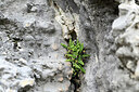 BUITEN BEELD Foto: 441614