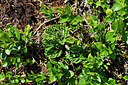 BUITEN BEELD Foto: 441617