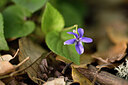 BUITEN BEELD Foto: 441619