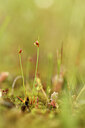 BUITEN BEELD Foto: 441624