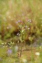 BUITEN BEELD Foto: 441626