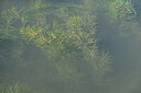 BUITEN BEELD Foto: 441628