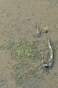 BUITEN BEELD Foto: 441629