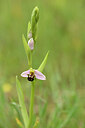 BUITEN BEELD Foto: 441630
