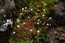 BUITEN BEELD Foto: 441633