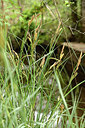 BUITEN BEELD Foto: 441635