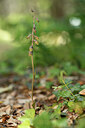 BUITEN BEELD Foto: 441640