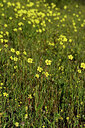 BUITEN BEELD Foto: 441646