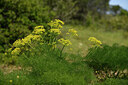 BUITEN BEELD Foto: 441650
