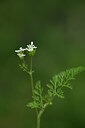 BUITEN BEELD Foto: 441653