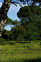BUITEN BEELD Foto: 441658