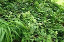 BUITEN BEELD Foto: 441663