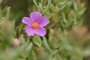 BUITEN BEELD Foto: 441664