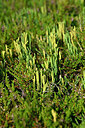 BUITEN BEELD Foto: 441665