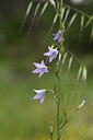 BUITEN BEELD Foto: 441669