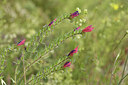 BUITEN BEELD Foto: 441670