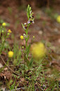 BUITEN BEELD Foto: 441672