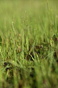 BUITEN BEELD Foto: 441675