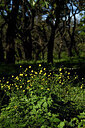 BUITEN BEELD Foto: 441678