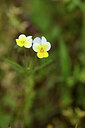 BUITEN BEELD Foto: 441679