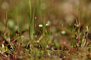 BUITEN BEELD Foto: 441684