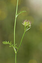 BUITEN BEELD Foto: 441687