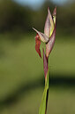 BUITEN BEELD Foto: 441693