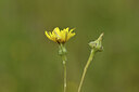BUITEN BEELD Foto: 441696