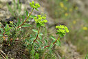 BUITEN BEELD Foto: 441700