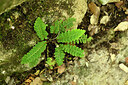BUITEN BEELD Foto: 441701
