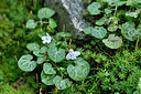 BUITEN BEELD Foto: 441703