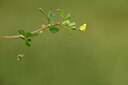 BUITEN BEELD Foto: 441705