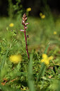 BUITEN BEELD Foto: 441707
