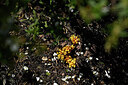 BUITEN BEELD Foto: 441708
