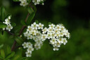 BUITEN BEELD Foto: 441709